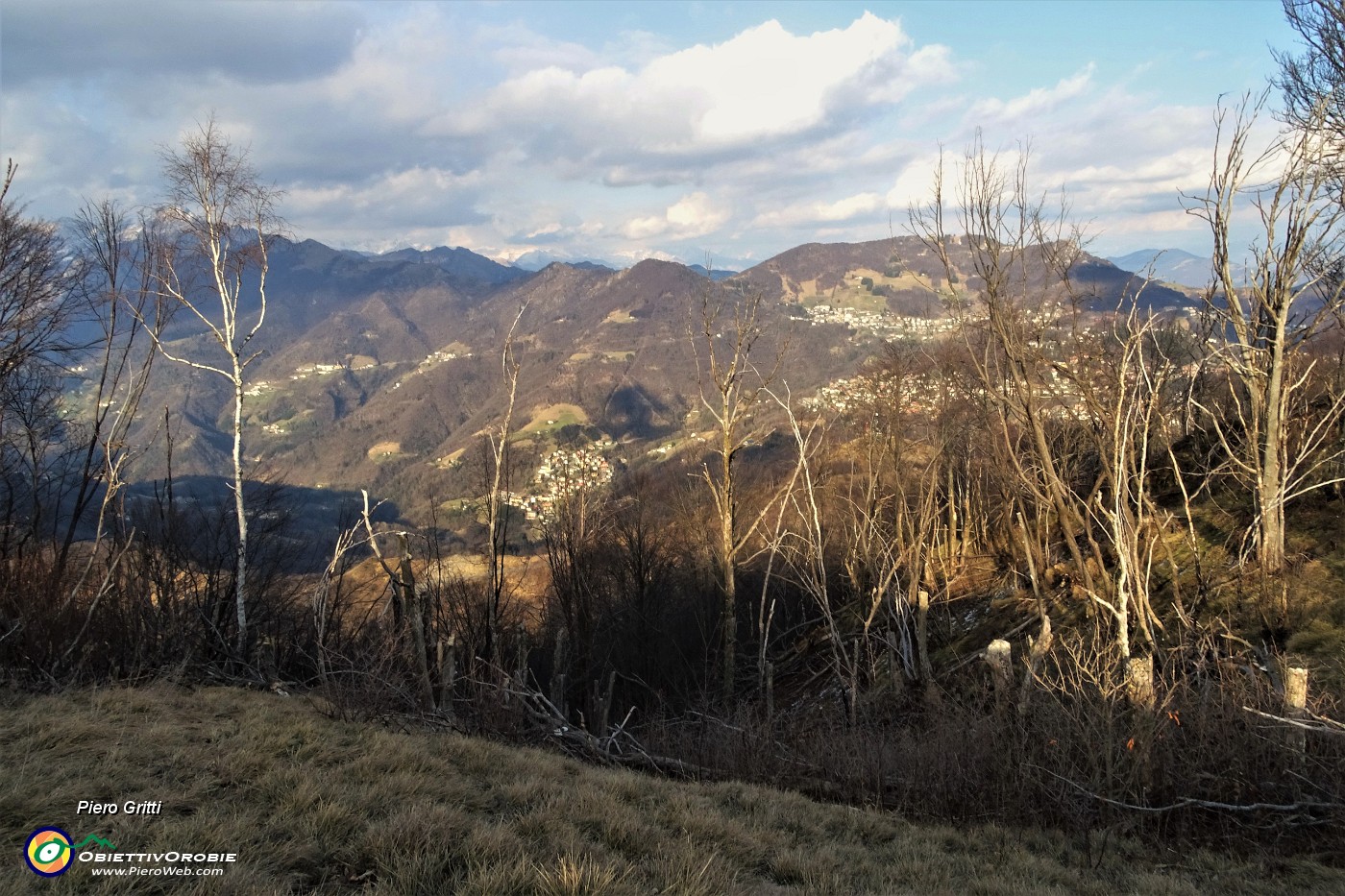 63 Il vento qui ha fatto strage di alberi.JPG